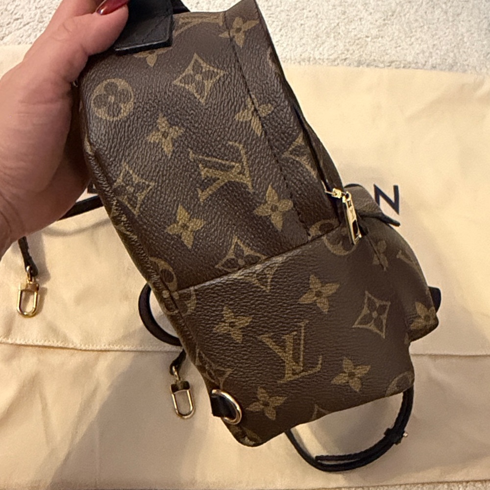 Louis Vuitton M44873 Palm Springs Mini - Picture 9 of 13